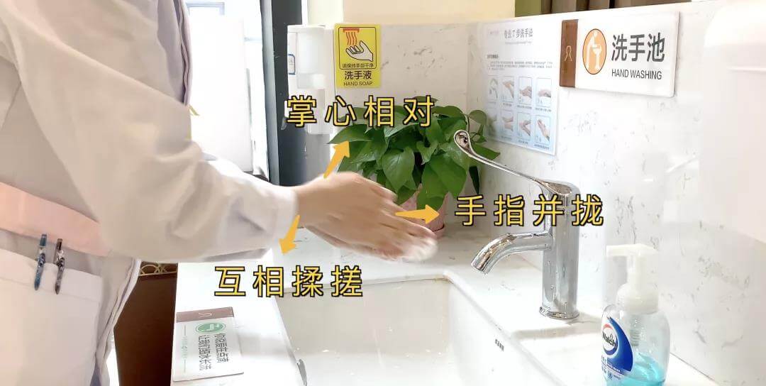 越秀养老防疫小百科｜ 洗了几十年的手，你洗对了吗？