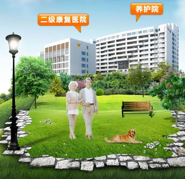 二月二龙抬头｜ 按下“复工键”的海樾荟，万物复苏