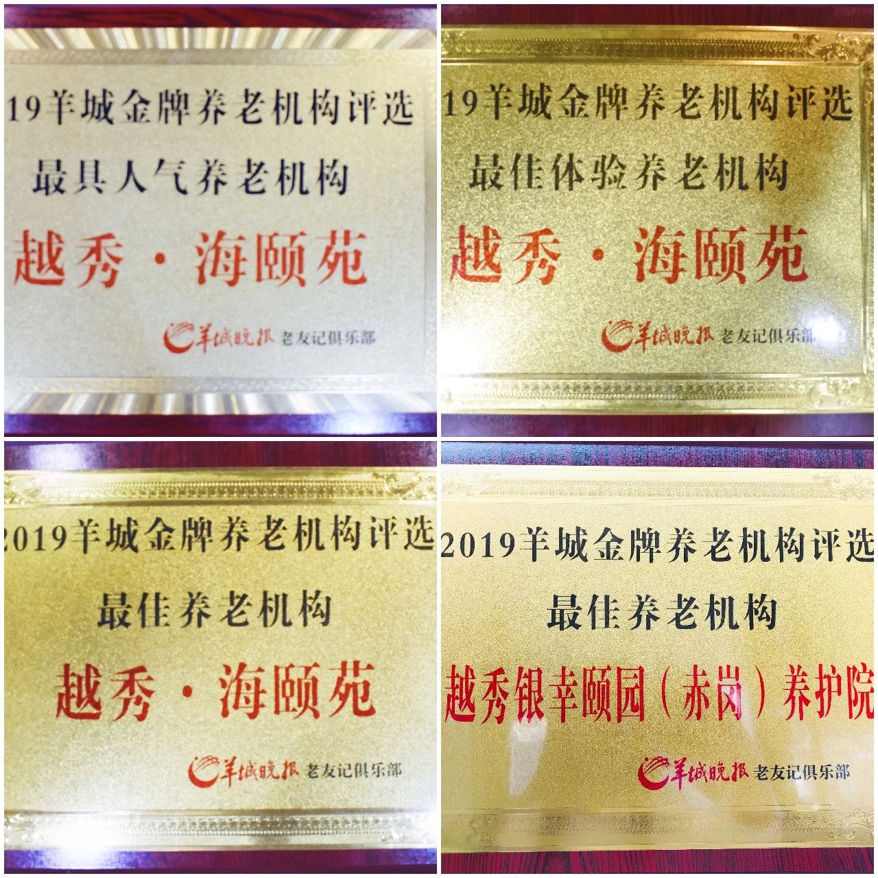为爱加冕| 越秀养老不负韶华不负卿，载誉归来