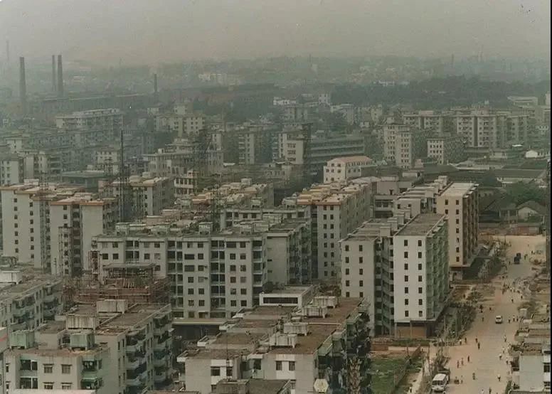 感恩有你一路相伴 越秀地产37岁正年轻
